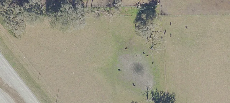 Hawthorne, FL 32640