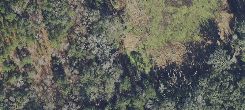 Gainesville, FL 32608