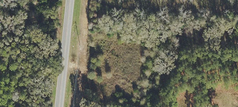 Log Lk Rd