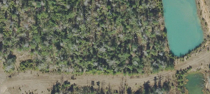 Boggs Grade
