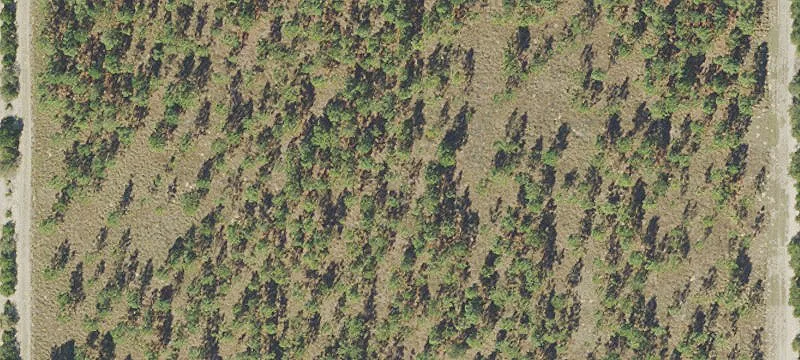 Mammoth Grv Rd