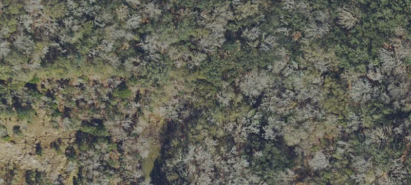 Buczak Rd