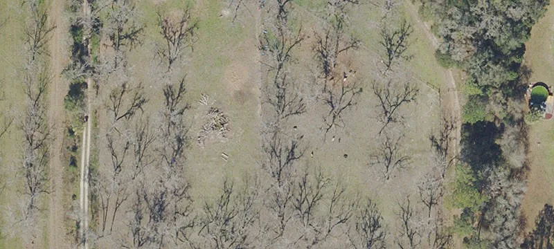Waldo, FL 32694