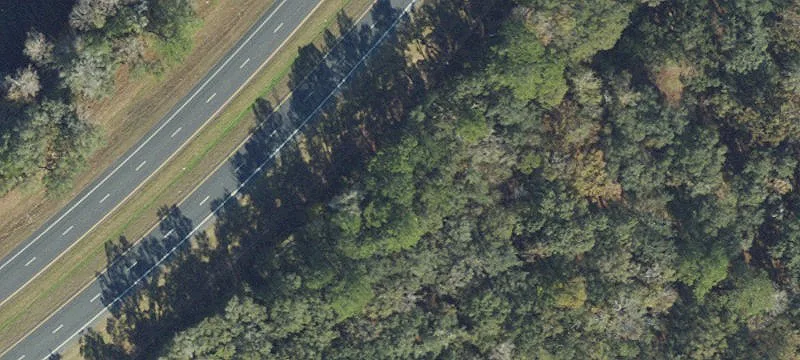 Us Hwy 19