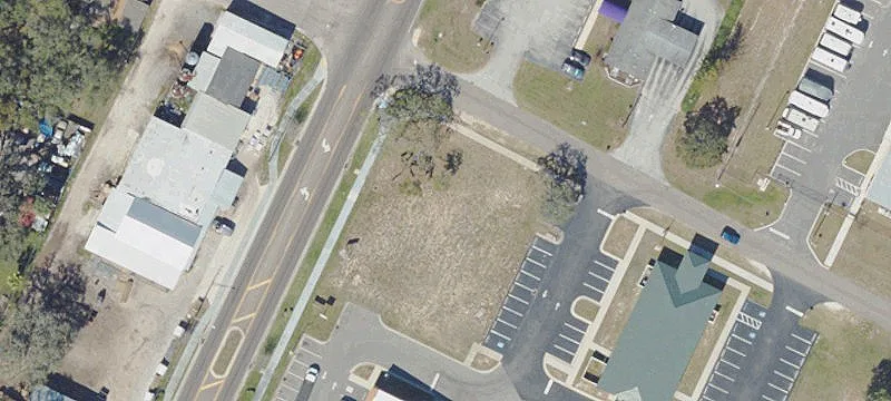 Palmetto E Ln