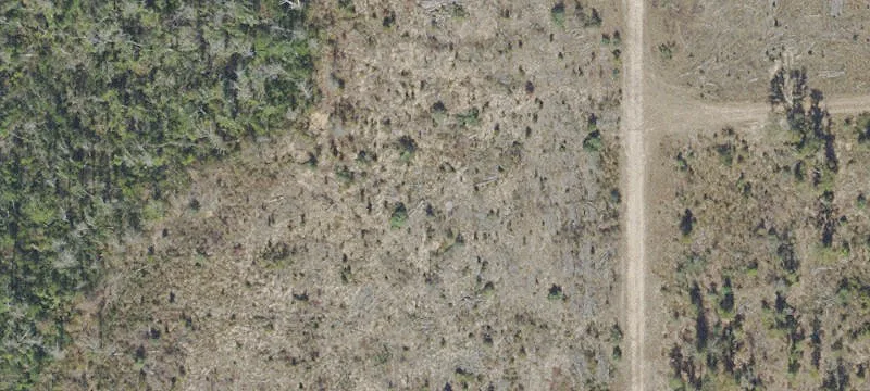 Boggs Grade