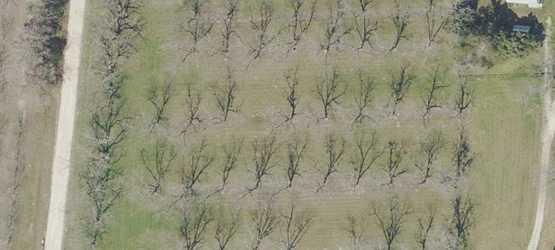 Hawthorne, FL 32640