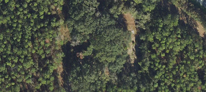 Jasper, FL 32052