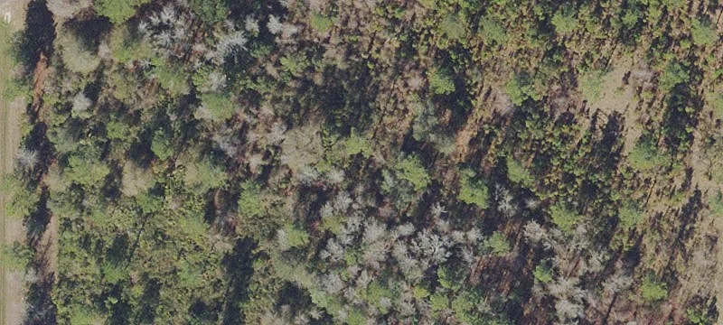 Waldo, FL 32694