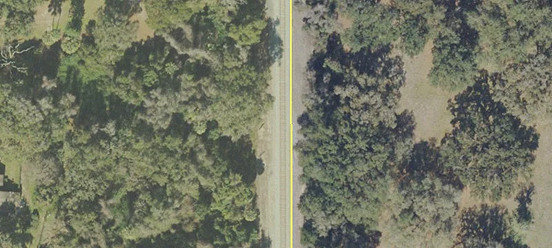Citra, FL 32113