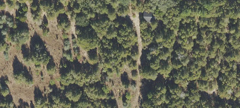 Log Lk Rd