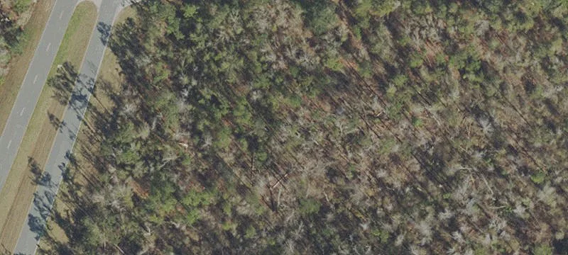 Blueberry Rd