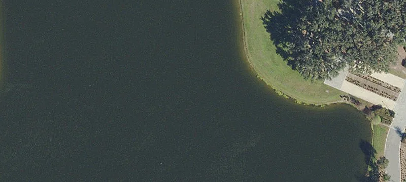 Odessa, FL 33556