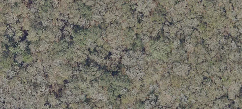 Micanopy, FL 32667