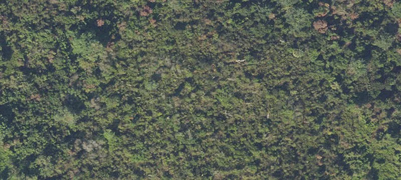 Doral, FL 33178