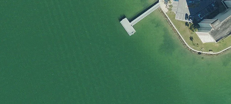 Gulf Blvd