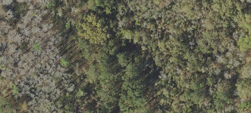 Peanut Rd