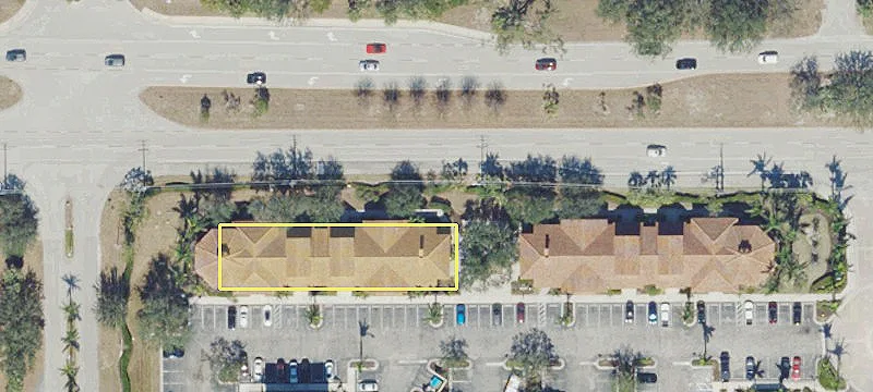 Corkscrew Palms E C