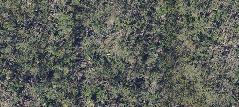 Bokeelia, FL 33922