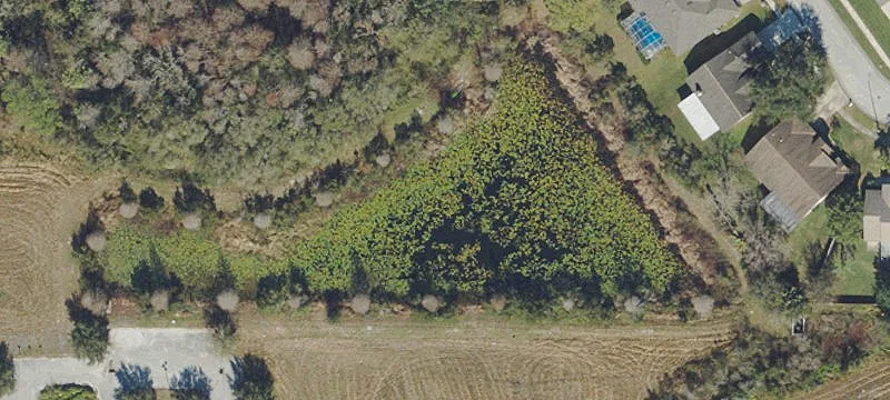 Wesley Chapel, FL 33543