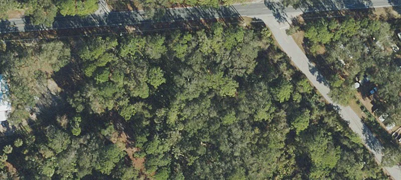 Tionia Rd
