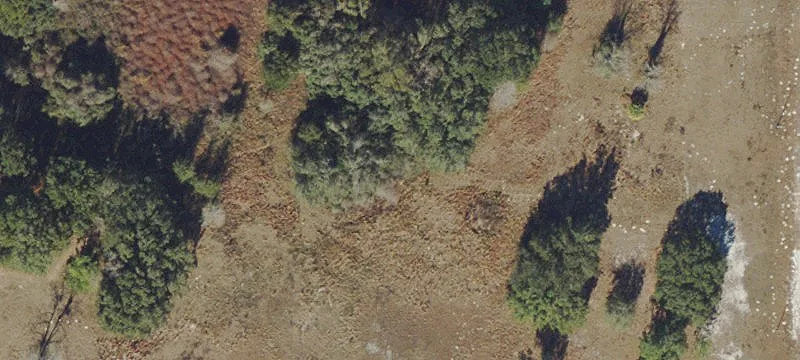 Bushnell, FL 33513