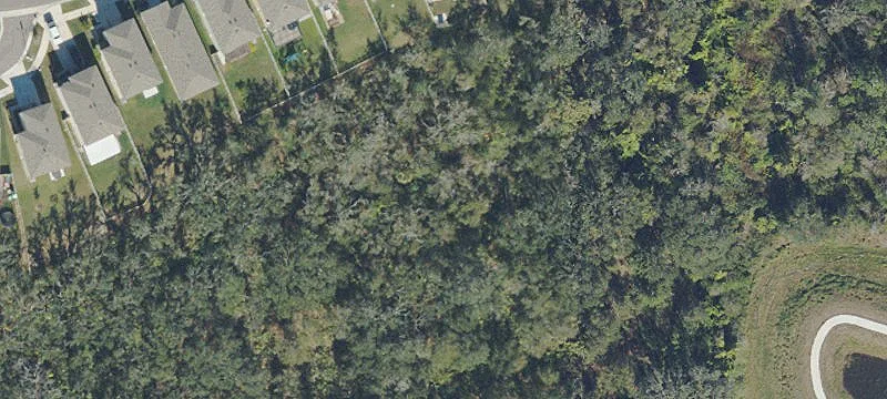 Wimauma, FL 33598