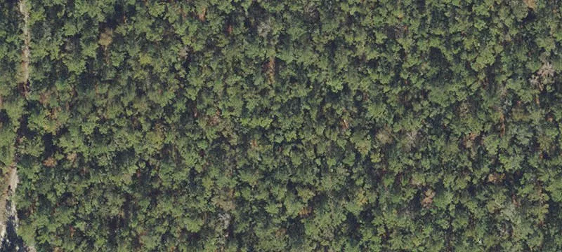 Silver Springs, FL 34488