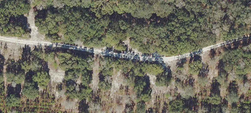 12876 County Rd 231