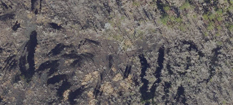 Us Hwy 17