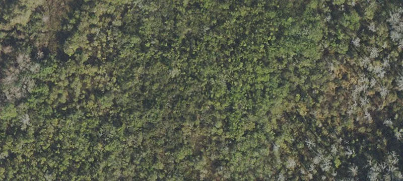 Odessa, FL 33556