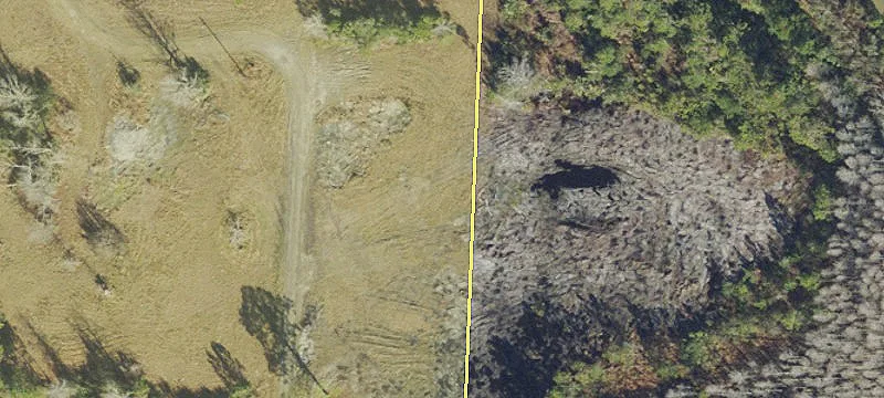 2988 State Rd 44