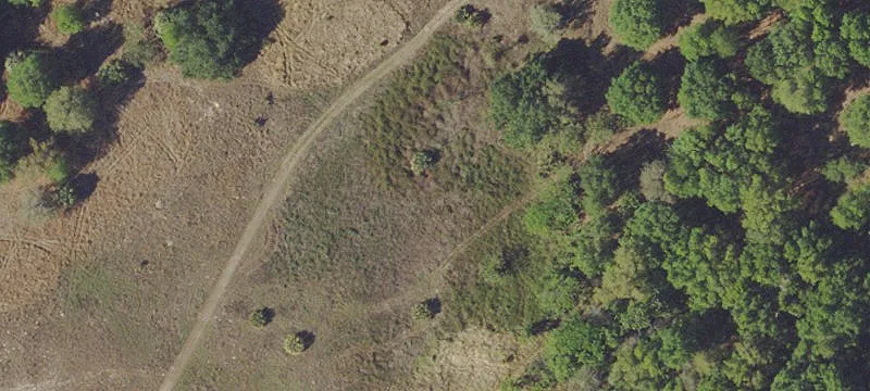 Haywood Worm Farm Rd