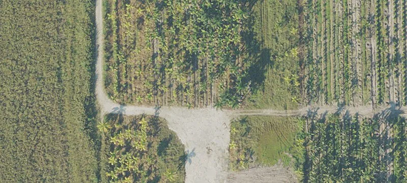 Florida City, FL 33034
