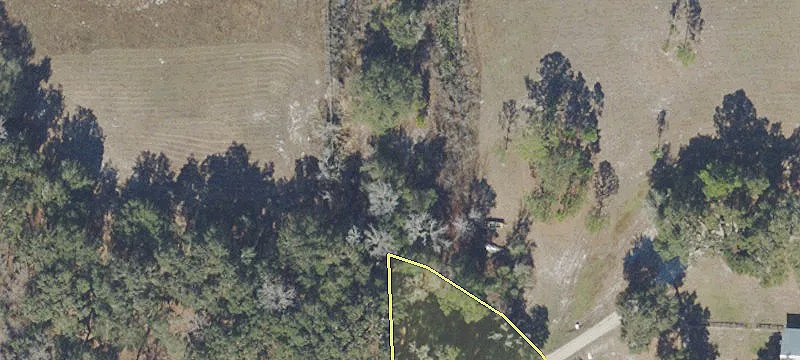 Anthony, FL 32617