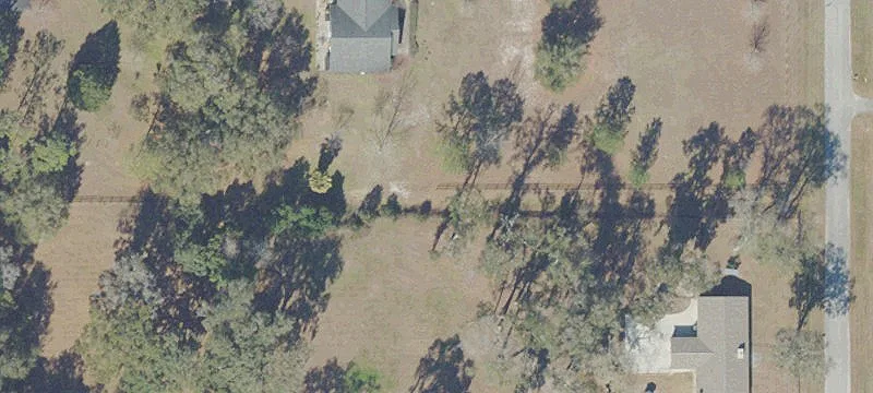 Anthony, FL 32617