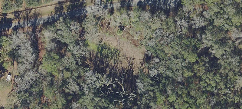 Reddick, FL 32686
