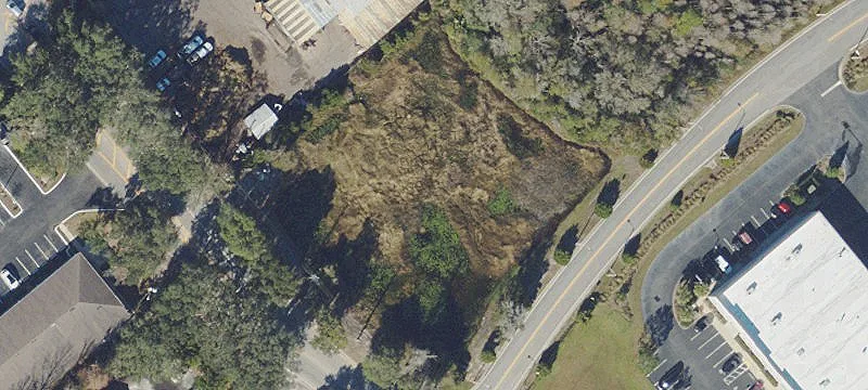 Lutz, FL 33559