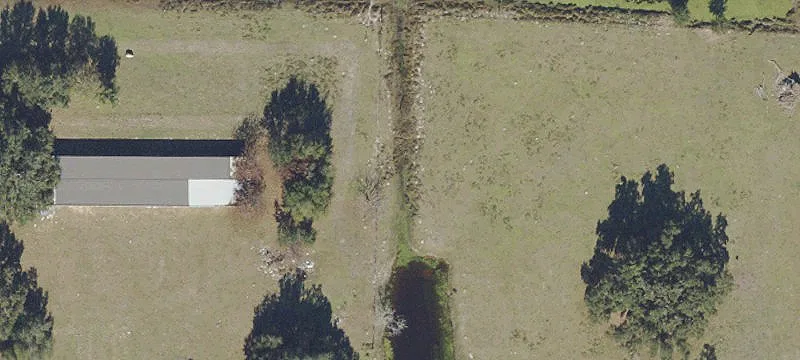 Webster, FL 33597