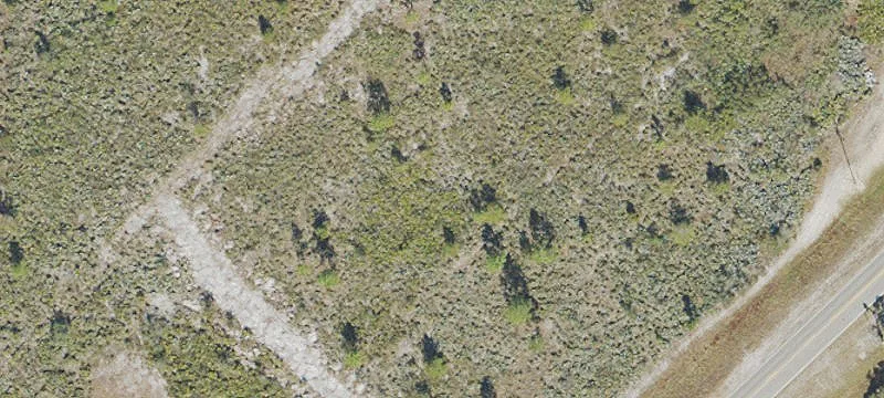 Mims, FL 32754