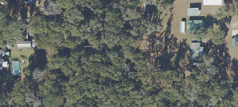 Anthony, FL 32617