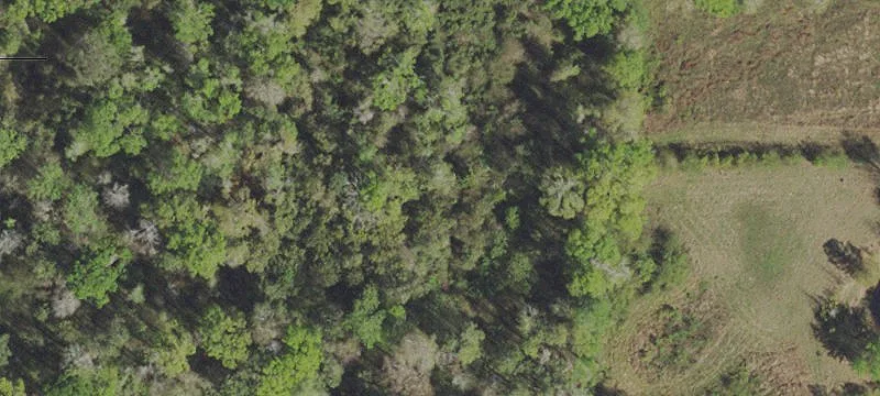 Graceville, FL 32440