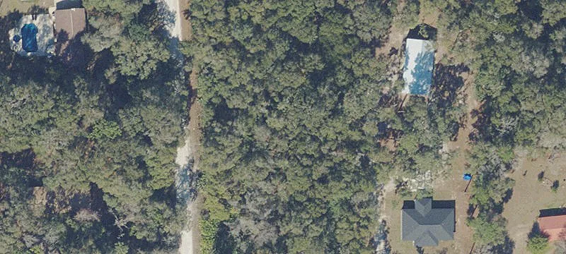 Anthony, FL 32617