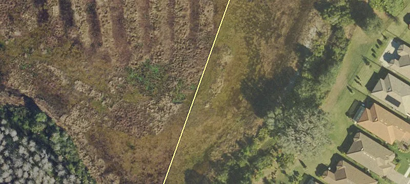 Odessa, FL 33556