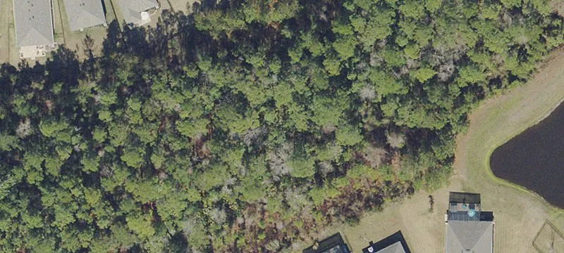 Saint Augustine, FL 32092