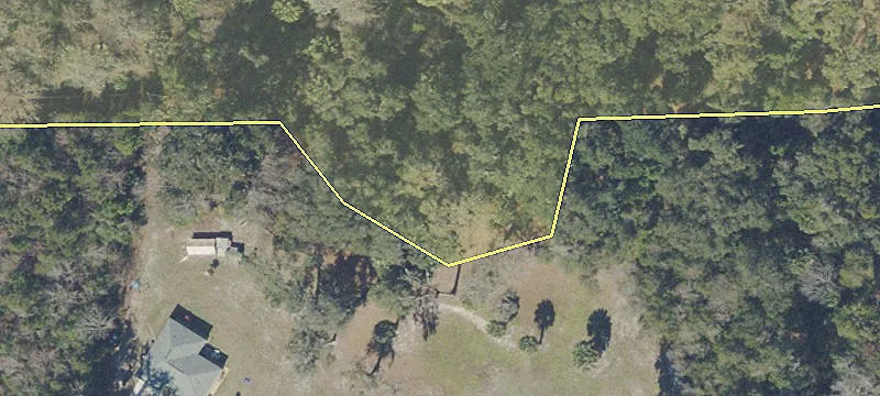 Anthony, FL 32617