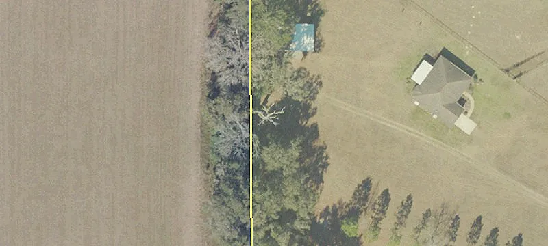 Anthony, FL 32617