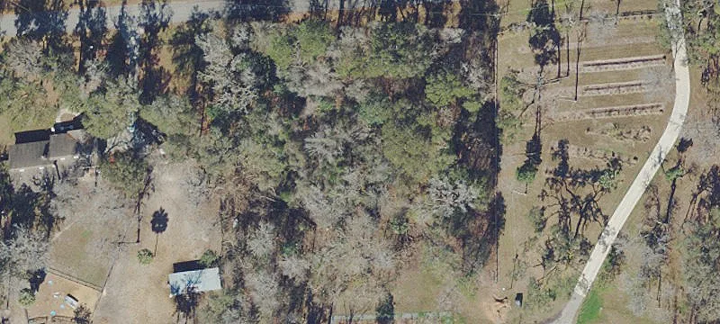 Reddick, FL 32686