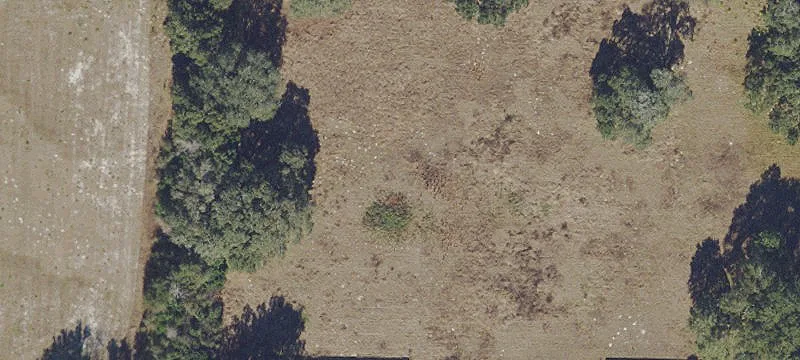 Bushnell, FL 33513