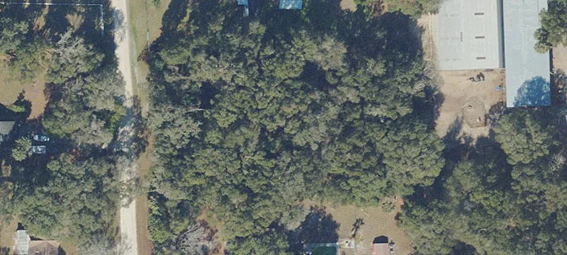 Anthony, FL 32617